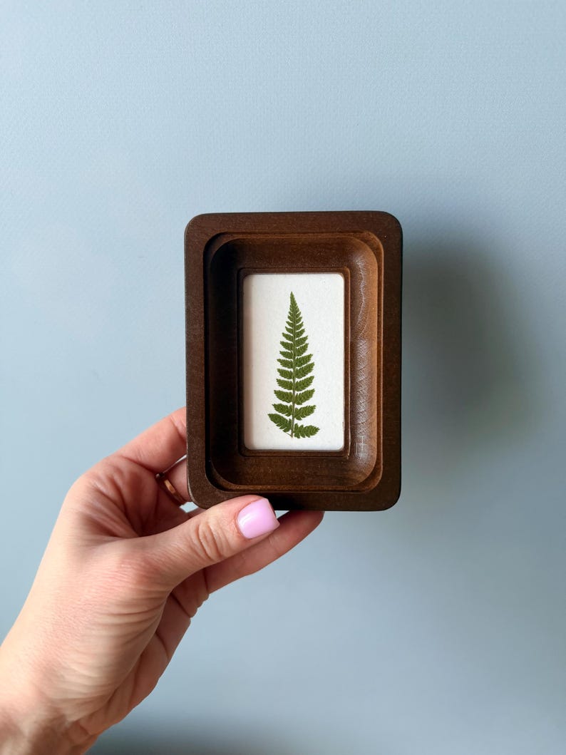 Miniature Real Dried Fern Frame 2 X 3 Inches – Rustic Wall Decor, Botanical Art