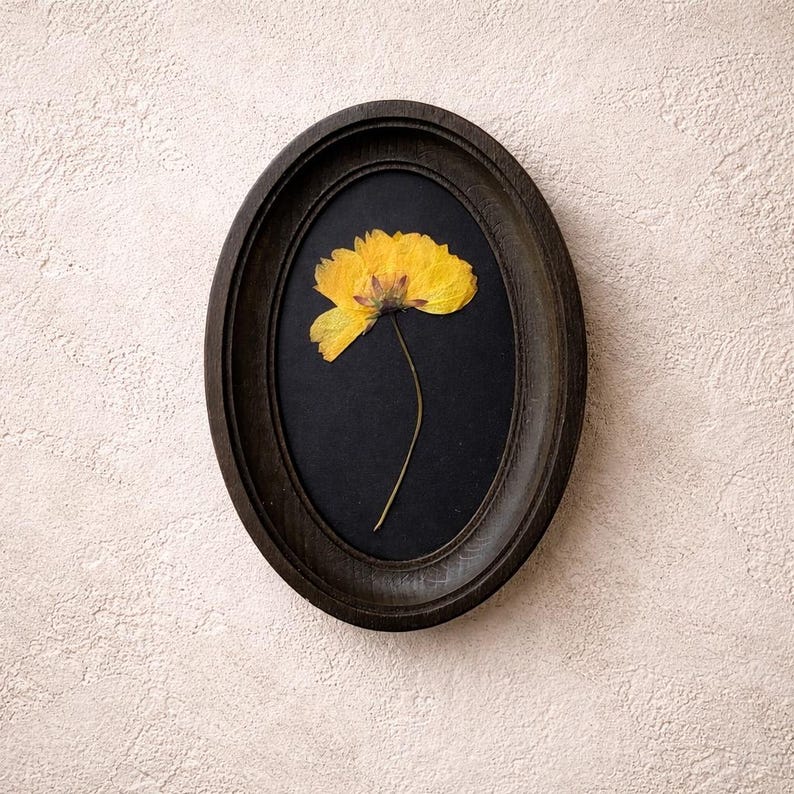 Pressed Flowers in a 3x5 Inch Oval Frame, Botanical Decor, Herbarium, Natural Flower, Gift