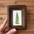 Miniature Real Dried Fern Frame 2 X 3 Inches – Rustic Wall Decor, Botanical Art