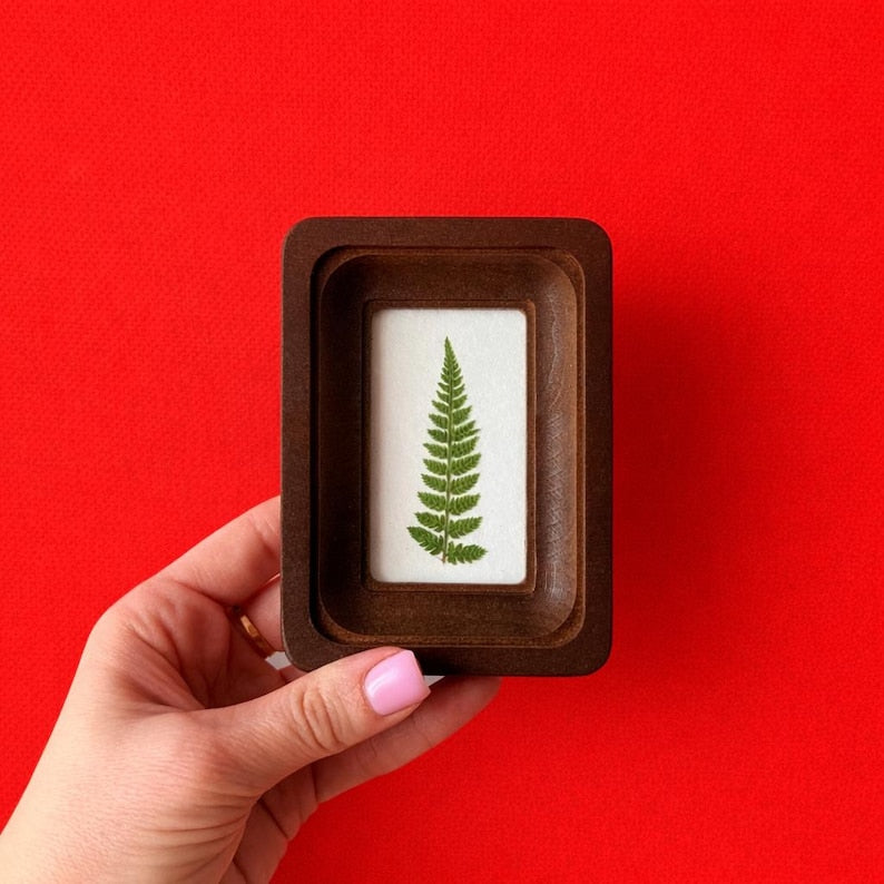 Miniature Real Dried Fern Frame 2 X 3 Inches – Rustic Wall Decor, Botanical Art