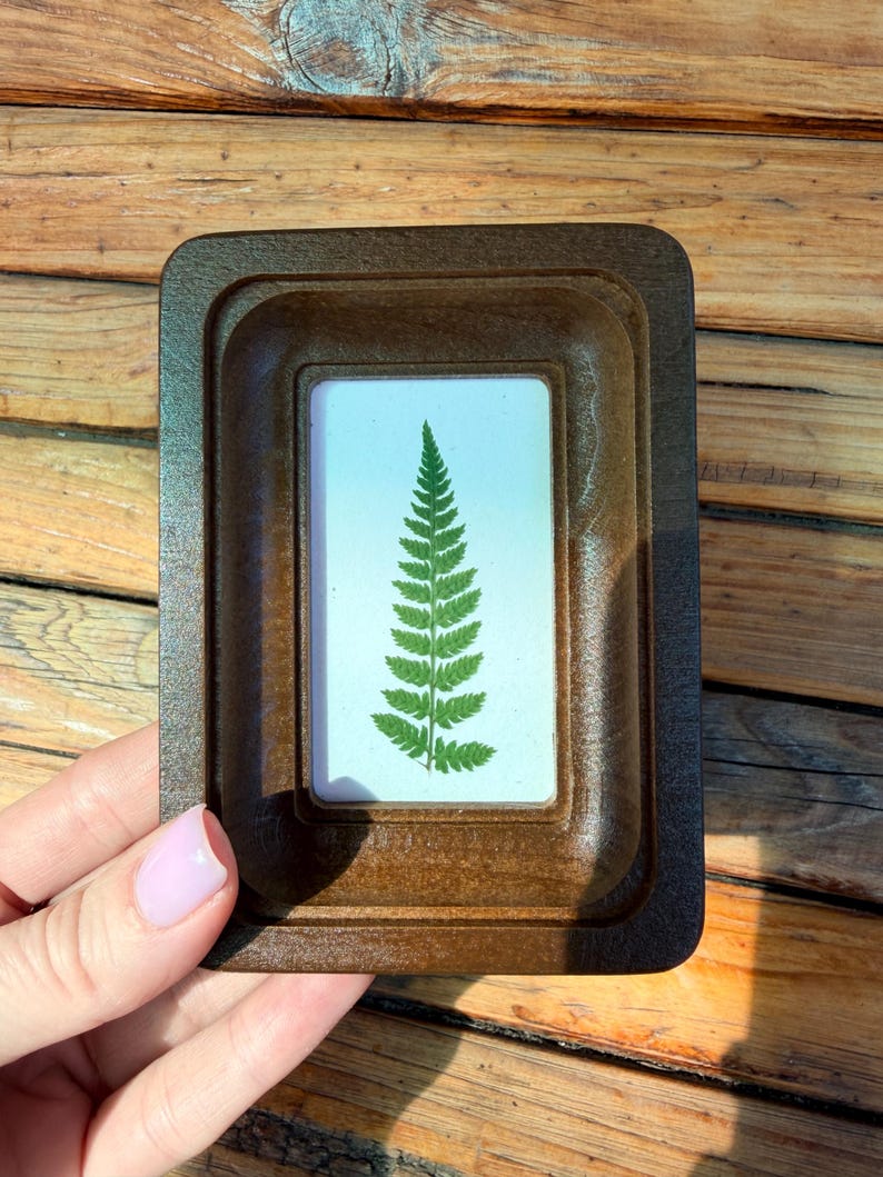 Miniature Real Dried Fern Frame 2 X 3 Inches – Rustic Wall Decor, Botanical Art