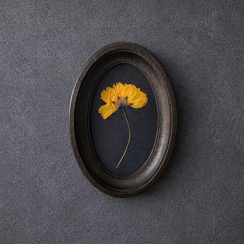 Pressed Flowers in a 3x5 Inch Oval Frame, Botanical Decor, Herbarium, Natural Flower, Gift