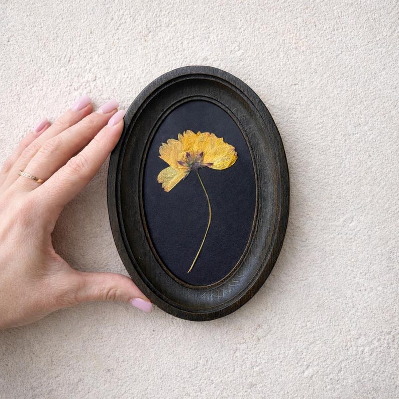 Pressed Flowers in a 3x5 Inch Oval Frame, Botanical Decor, Herbarium, Natural Flower, Gift