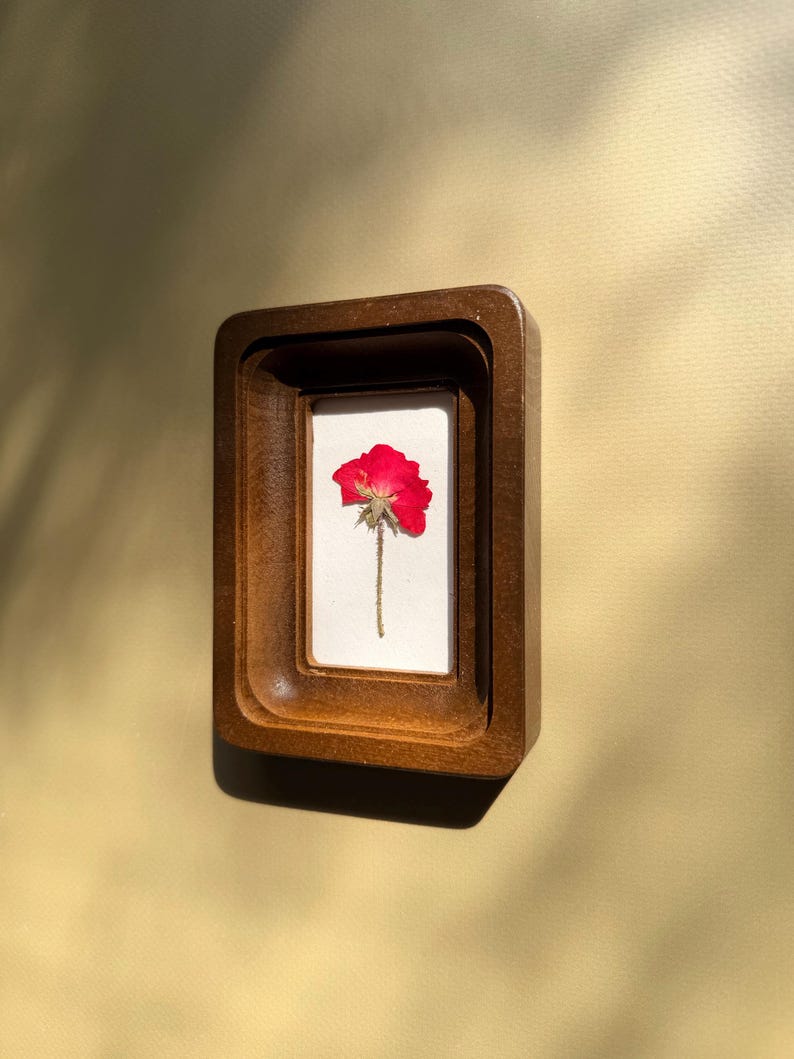 Mini 2x3 Pressed Flower Frame, Botanical Decor, Dried Flowers, Wall Art, Handmade