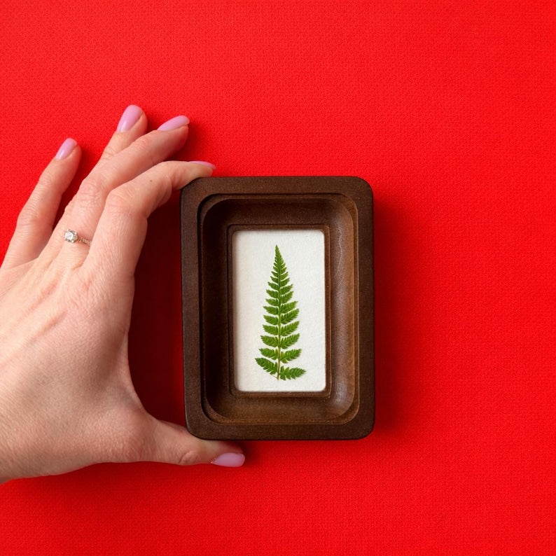 Miniature Real Dried Fern Frame 2 X 3 Inches – Rustic Wall Decor, Botanical Art