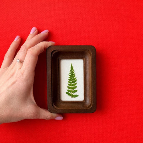 Miniature Real Dried Fern Frame 2 X 3 Inches – Rustic Wall Decor, Botanical Art