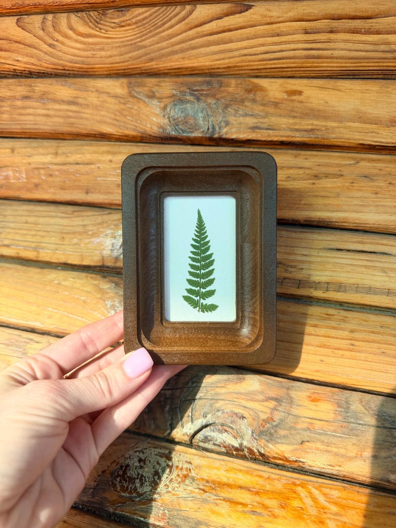 Miniature Real Dried Fern Frame 2 X 3 Inches – Rustic Wall Decor, Botanical Art