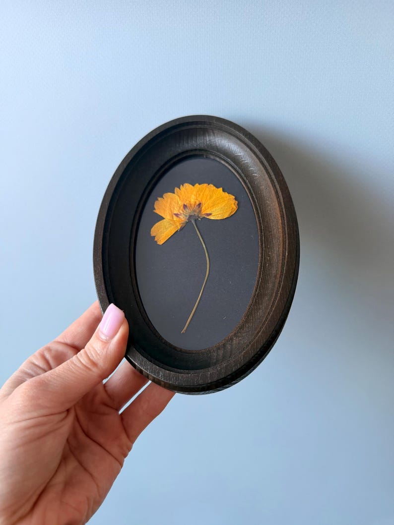 Pressed Flowers in a 3x5 Inch Oval Frame, Botanical Decor, Herbarium, Natural Flower, Gift