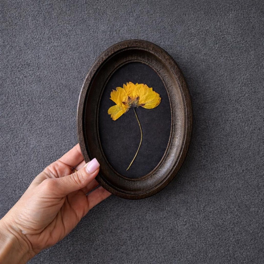 Pressed Flowers in a 3x5 Inch Oval Frame, Botanical Decor, Herbarium, Natural Flower, Gift