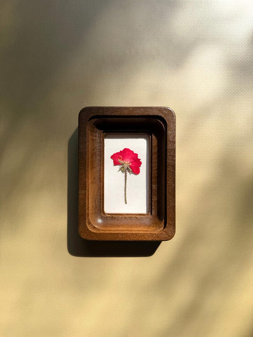 Mini 2x3 Pressed Flower Frame, Botanical Decor, Dried Flowers, Wall Art, Handmade
